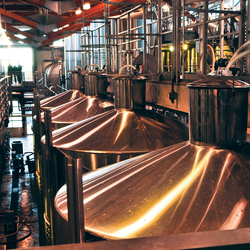 Alimentos y bebidas - Cervecería